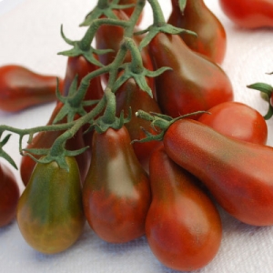 Interesting appearance and pleasant taste for connoisseurs of unusual varieties - Black Pear tomato