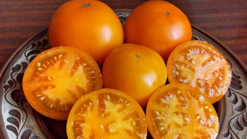 Tomato Orange miracle is a real find for any summer resident