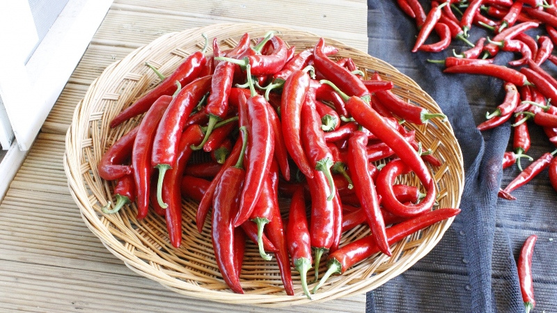 How to cook pickled hot peppers for the winter without sterilization: the simplest and most delicious recipes