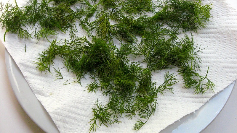 How to properly dry dill at home and where to store it