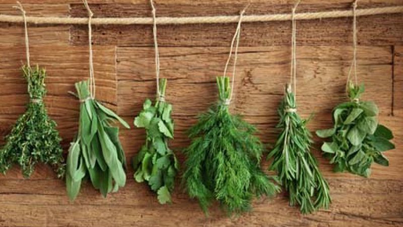 How to properly dry dill at home and where to store it