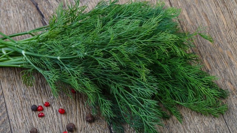 How to properly dry dill at home and where to store it