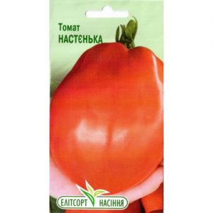 A variety that is equally good for a greenhouse and for open ground - Nastenka tomato and the method of growing it