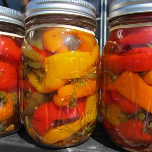 How to grow pepper Tenderness, time-tested and loved by gardeners