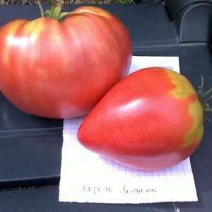 A variety with an impeccable taste and aroma - tomato King of London: reviews, photos and care secrets