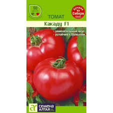A bright decoration on your beds - tomato Kakadu f1: reviews and secrets of getting a bountiful harvest