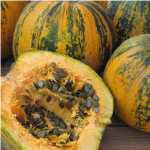 Description of ordinary pumpkin (hard-bore, pepo): composition and properties, characteristics, nuances of cultivation and use