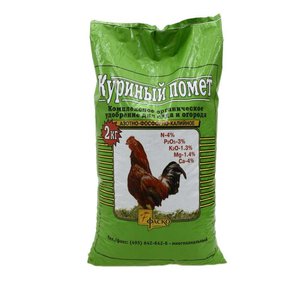 A variety with a melon aroma and a high yield - a pumpkin Russian woman and the secrets of its cultivation