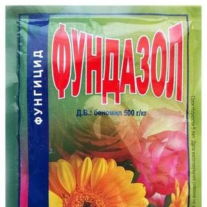 A variety with a melon aroma and high yield - pumpkin Rossiyanka and the secrets of its cultivation