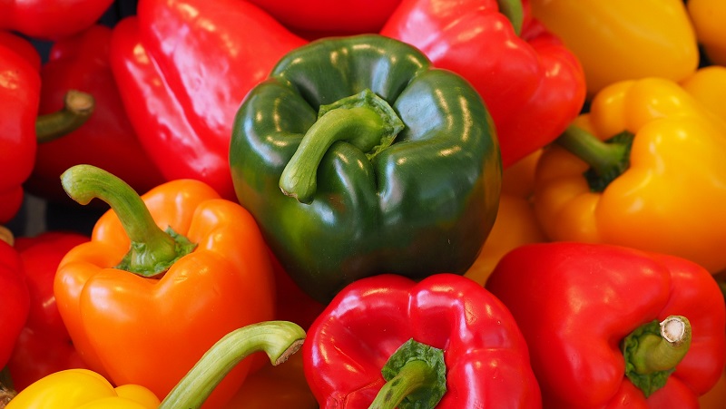 Where and how to keep bell peppers for the winter: fresh, frozen, dried, dried and canned