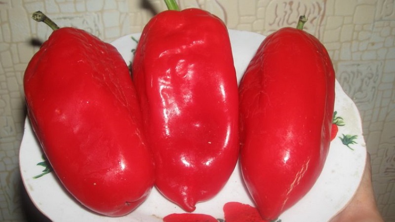 The perfect-looking and amazing-tasting Pepper Flight: a detailed overview of the variety and the rules for its cultivation