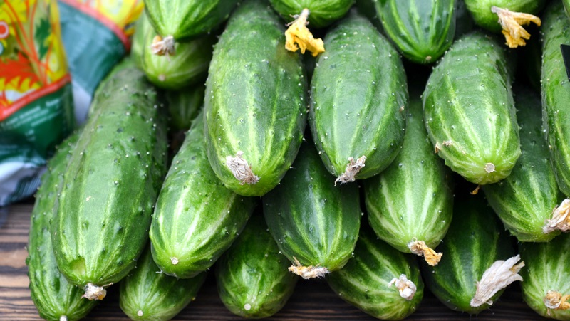 How to keep fresh cucumbers in the refrigerator for as long as possible: the best ways and tips