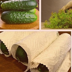 How to keep fresh cucumbers in the refrigerator for as long as possible: the best ways and tips