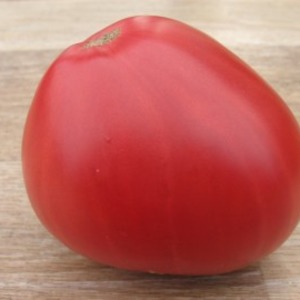 Features of agricultural technology varieties Loving heart red