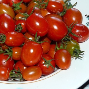 Adored by children and adults, a bright greenhouse hybrid with a fruity flavor - Tomato Date yellow