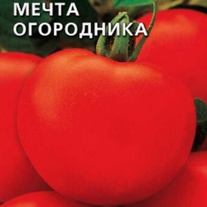 Why tomato is so loved and popular Gardener's dream: description of the variety and reviews of experienced summer residents