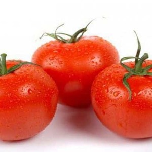 Why tomato is so loved and popular Gardener's dream: description of the variety and reviews of experienced summer residents