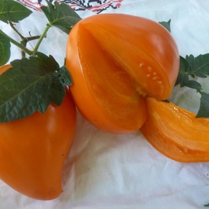 Giant Delicious Orange Fruit - Tomato Orange Strawberry