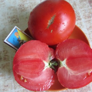 Fleshy and sweet fruits to your table - tomato Sugar pudovichok: characteristics and description of the variety