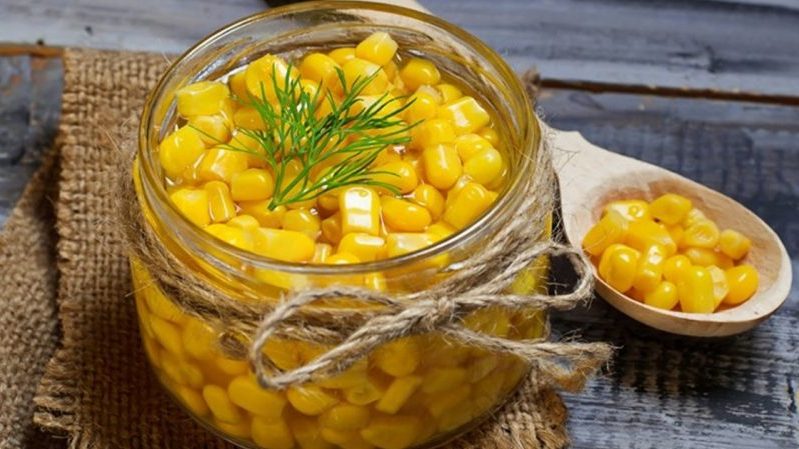 Where and how to store boiled corn correctly: different ways and terms of freshness