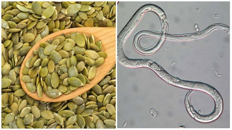 Why pumpkin seeds are useful and how to use them correctly