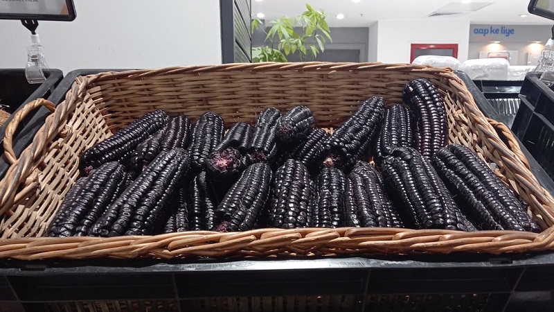 An exotic vegetable with an amazing look - black corn: properties, uses in cooking and traditional medicine