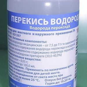 How to deal with late blight on tomatoes in a greenhouse using folk methods: the best ways to treat and prevent disease