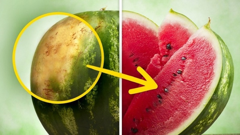 How to understand that a watermelon has gone bad and what to do if it happened