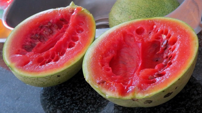 How to understand that a watermelon has gone bad and what to do if it happened