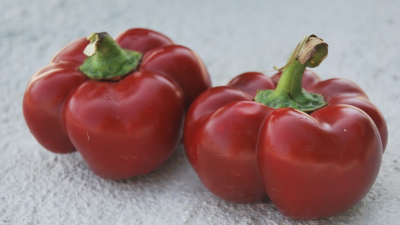 How to properly grow peppers from the Gogoshary group: features of varieties and reviews of summer residents