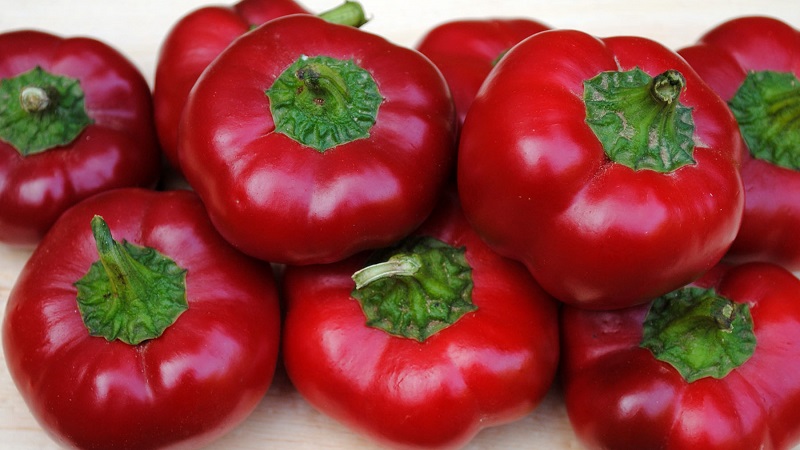 How to properly grow peppers from the Gogoshary group: features of varieties and reviews of summer residents