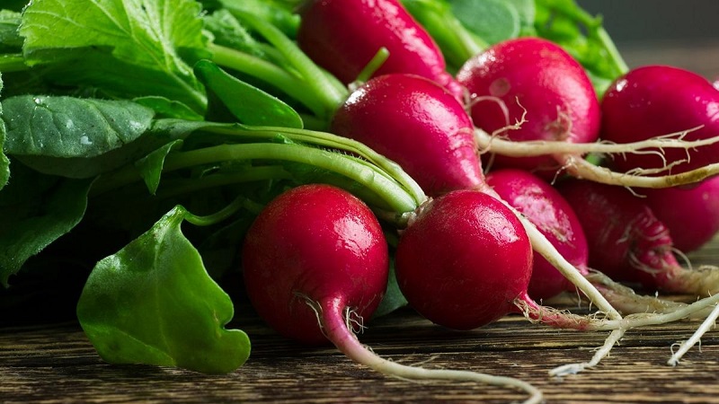 What vitamins are in radishes and how are they useful for health