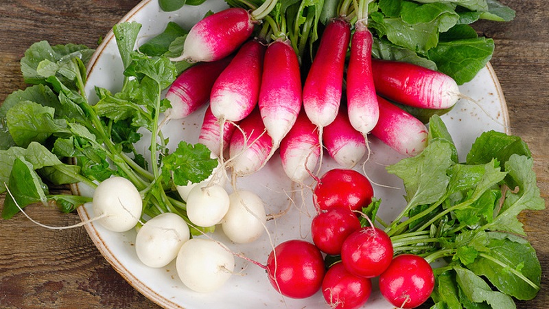 What vitamins are in radishes and how are they useful for health