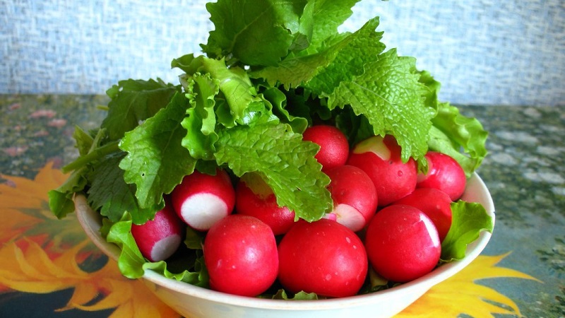 What vitamins are in radishes and how are they useful for health