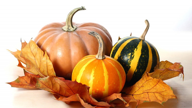 The benefits and harms of raw pumpkin: eating a fresh vegetable with maximum healing effect