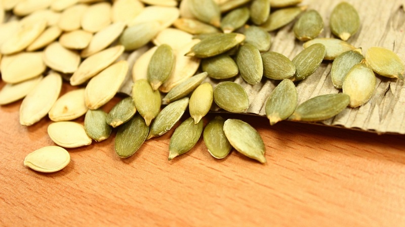 Pumpkin sprouts for seedlings and eating at home: how to germinate pumpkin seeds and keep them for a long time
