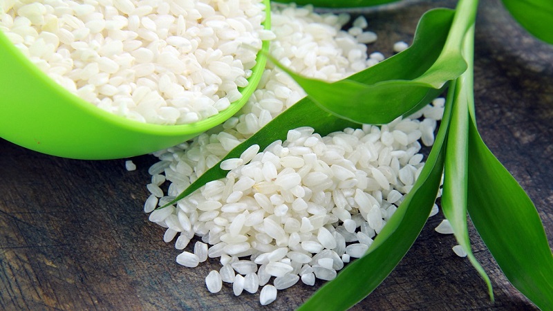 Losing extra pounds easily and without hunger strikes on the Rice Diet