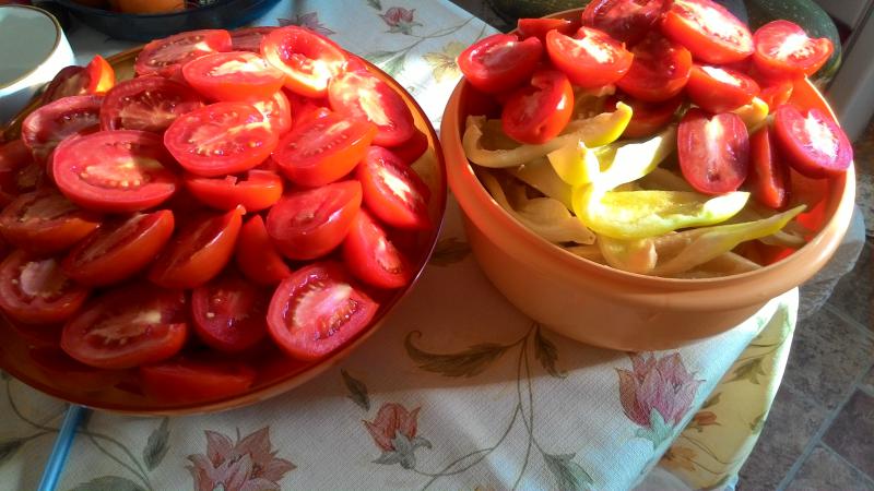 Top 10 best recipes for pickling tomatoes in a saucepan: the fastest, easiest, but delicious cooking options