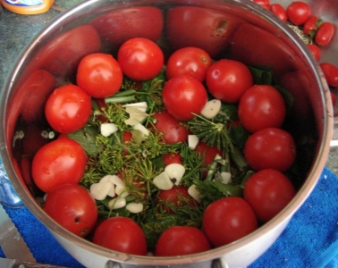 Top 10 best recipes for pickling tomatoes in a saucepan: the fastest, easiest, but delicious cooking options