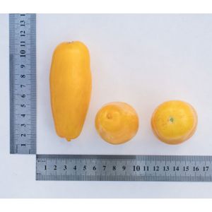 An amazing variety for summer residents-experimenters - tomato Banana legs and recommendations for its cultivation