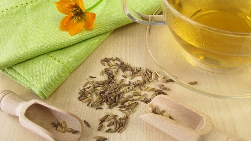 A tasty and healthy way to fight obesity: dill for weight loss