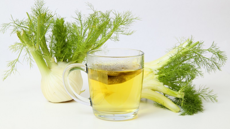 A tasty and healthy way to fight obesity: dill for weight loss