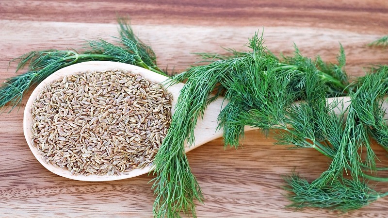 A tasty and healthy way to fight obesity: dill for weight loss