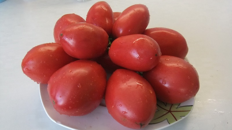 A rich harvest of small plum tomatoes from each bush - tomato Pink raisins and the secrets of caring for it