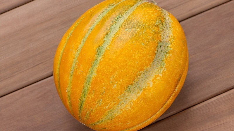 Why Ethiopian melon is good and why it is worth trying to grow it yourself