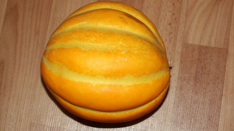 Why Ethiopian melon is good and why it is worth trying to grow it yourself