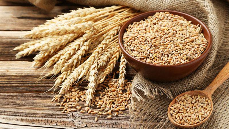 What is made from rye and how is this cereal useful?