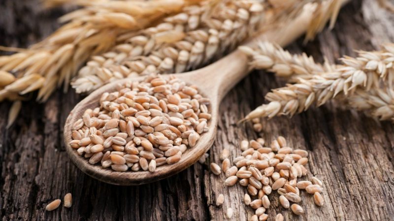 What is made from rye and how is this cereal useful?
