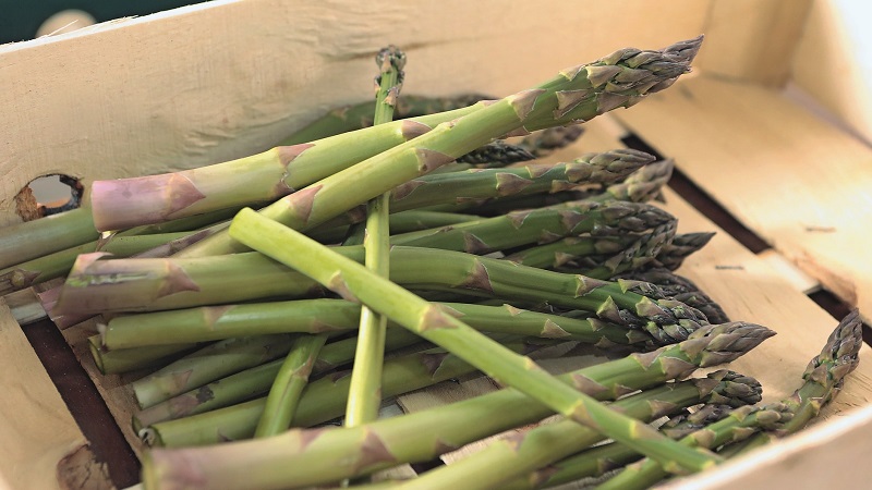 What is asparagus, how it looks and is used