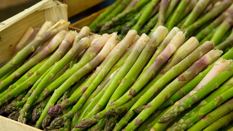 What is asparagus, how it looks and is used